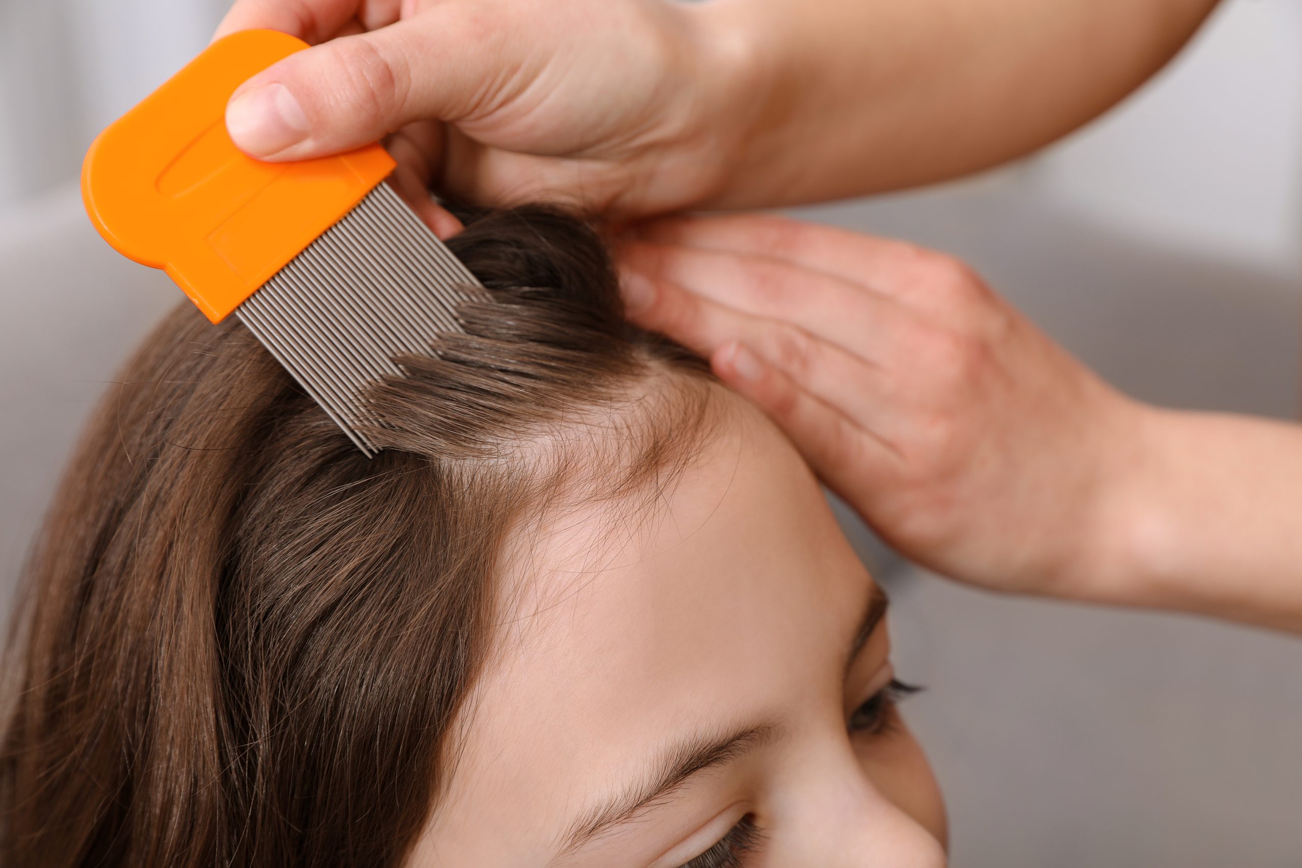 Fine-tooth lice comb moving through a child's hair during head lice treatment.