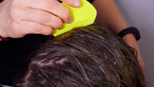 How Do You Spot Lice And Nits In Brown Hair?