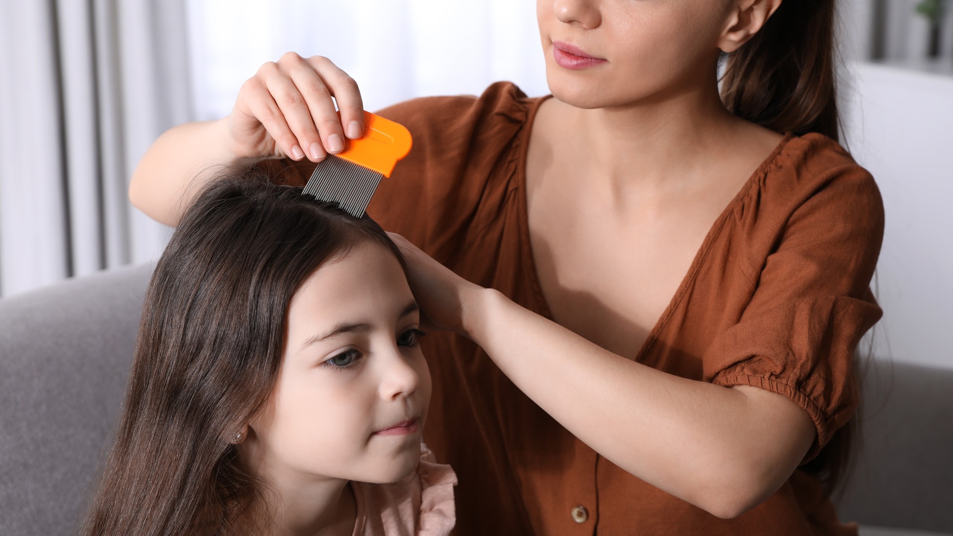 Does Tea Tree Oil Actually Kill Head Lice? featured image