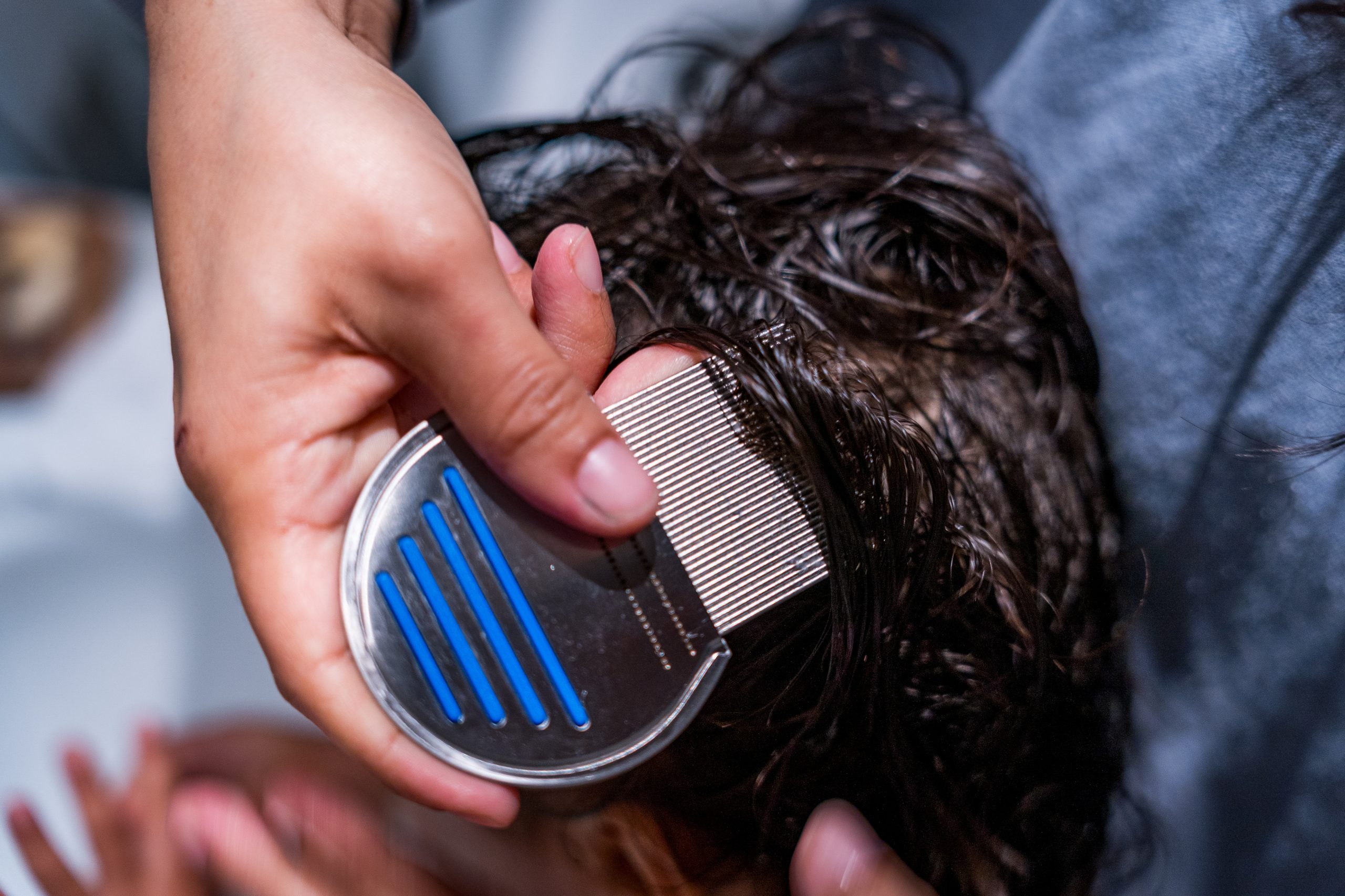Removing lice and nits with lice comb on baby girl head hair