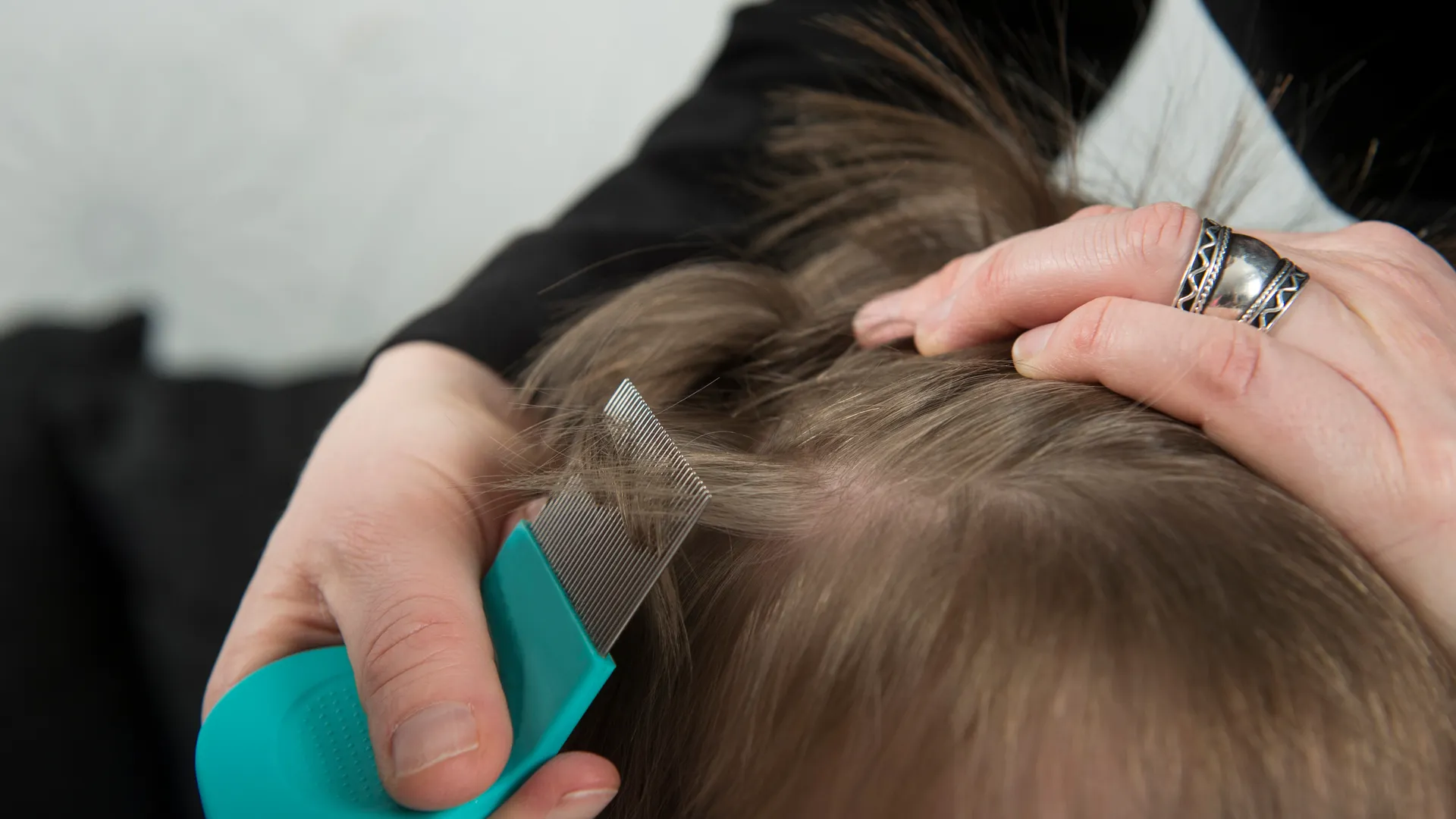 Fine-tooth lice comb being used to inspect and remove head lice from a child's hair