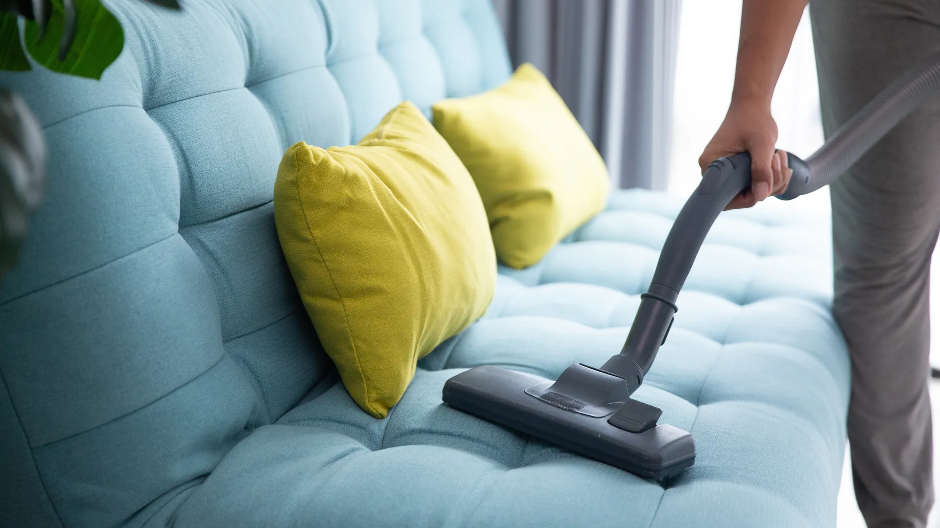 Person vacuuming a fabric sofa during home cleaning after head lice
