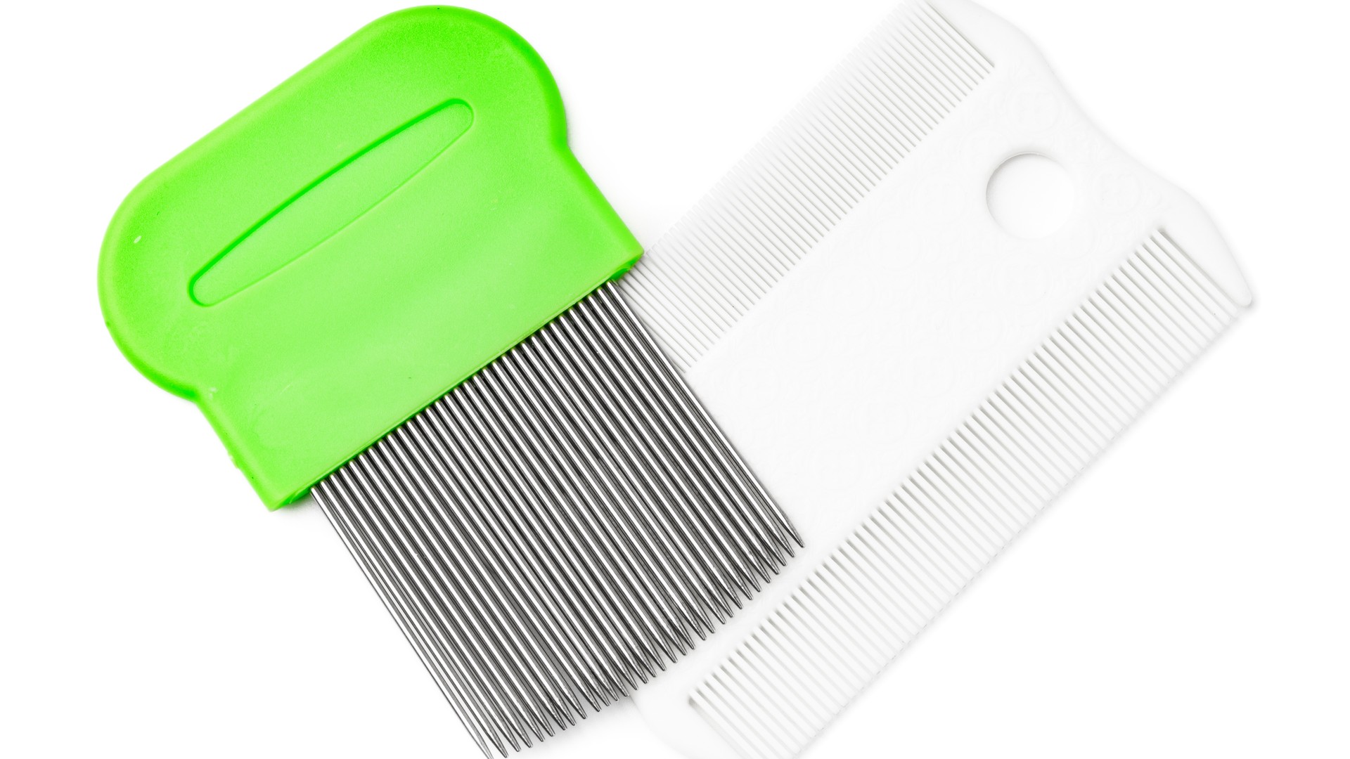 Upgraded: How Long Does a Head Lice Treatment Take?