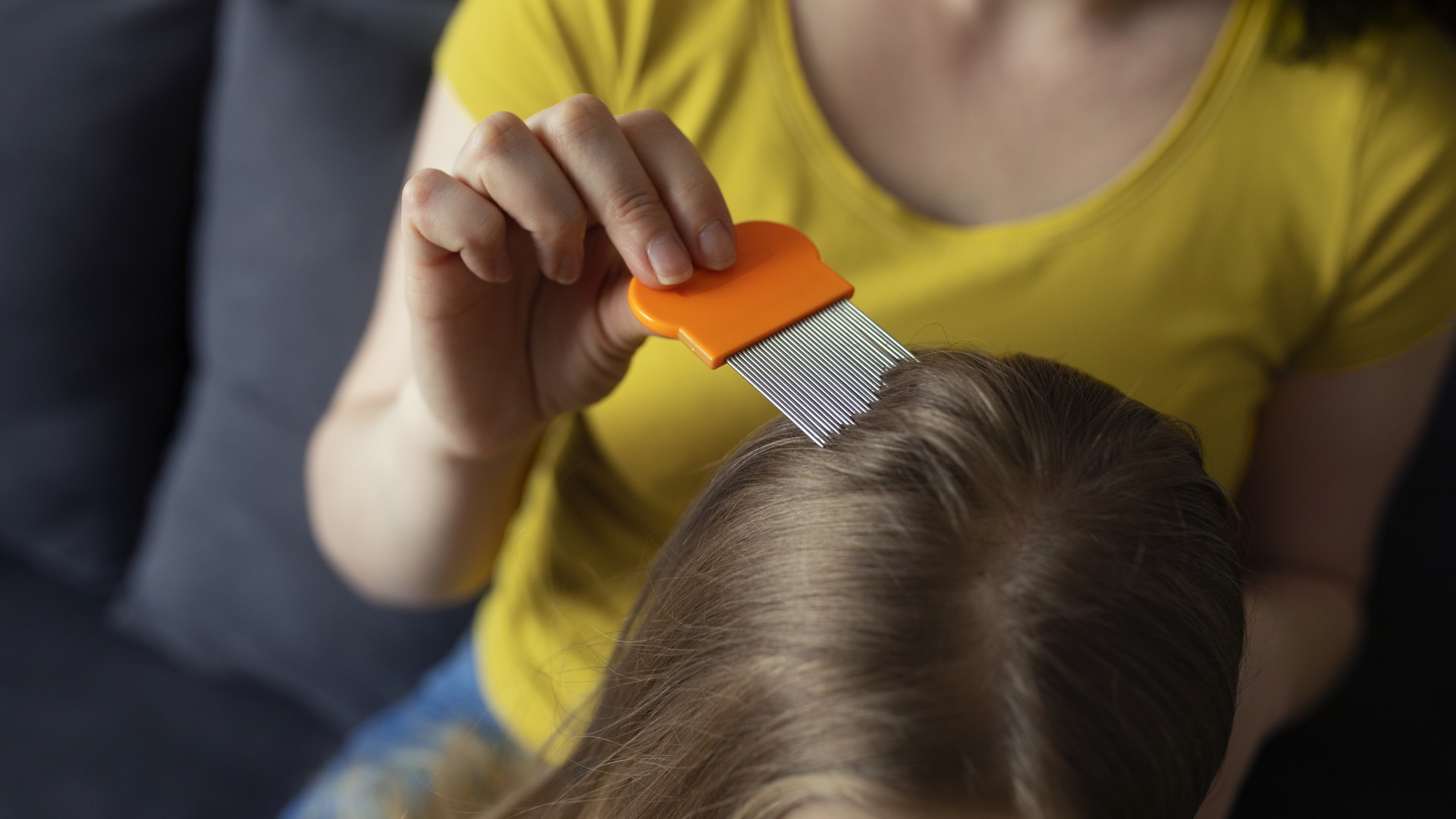 Upgraded: Which Lice Treatment Is Actually Safe During Pregnancy?