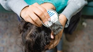 Why a Black Light Won’t Actually Find Head Lice
