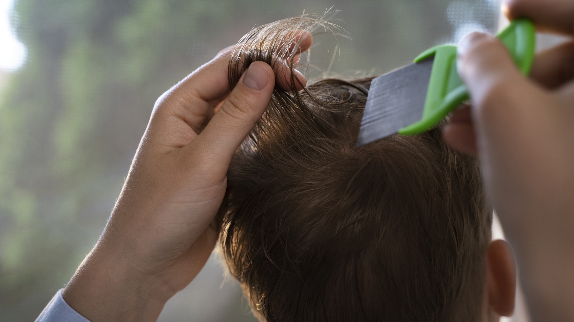 A parent parting a child's hair in bright light and examining the scalp closely with a fine-tooth lice comb