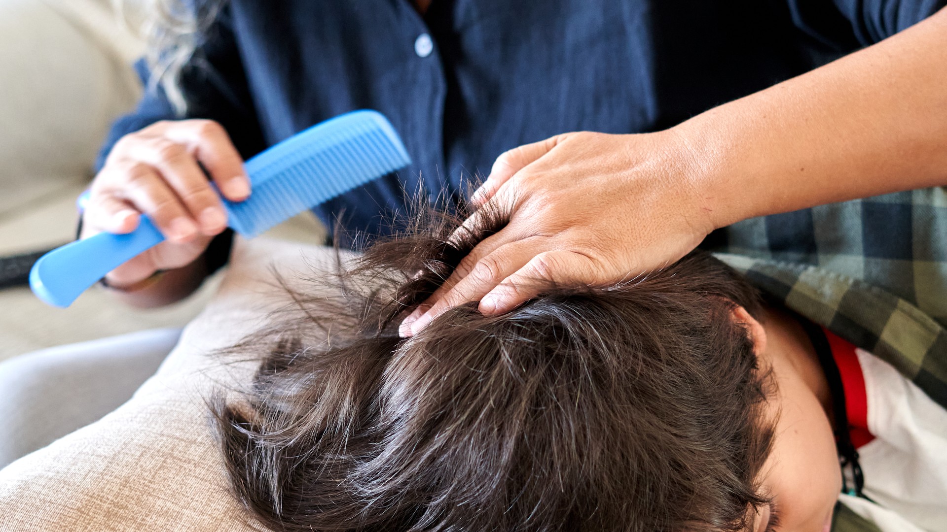 Upgraded: Does Hair Dye Kill Head Lice?