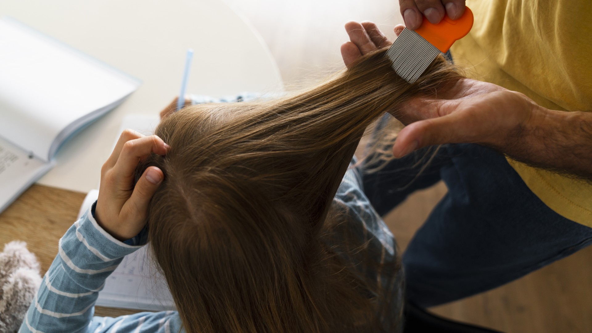 Which Lice Eggs Can Hatch and Which Are Harmless