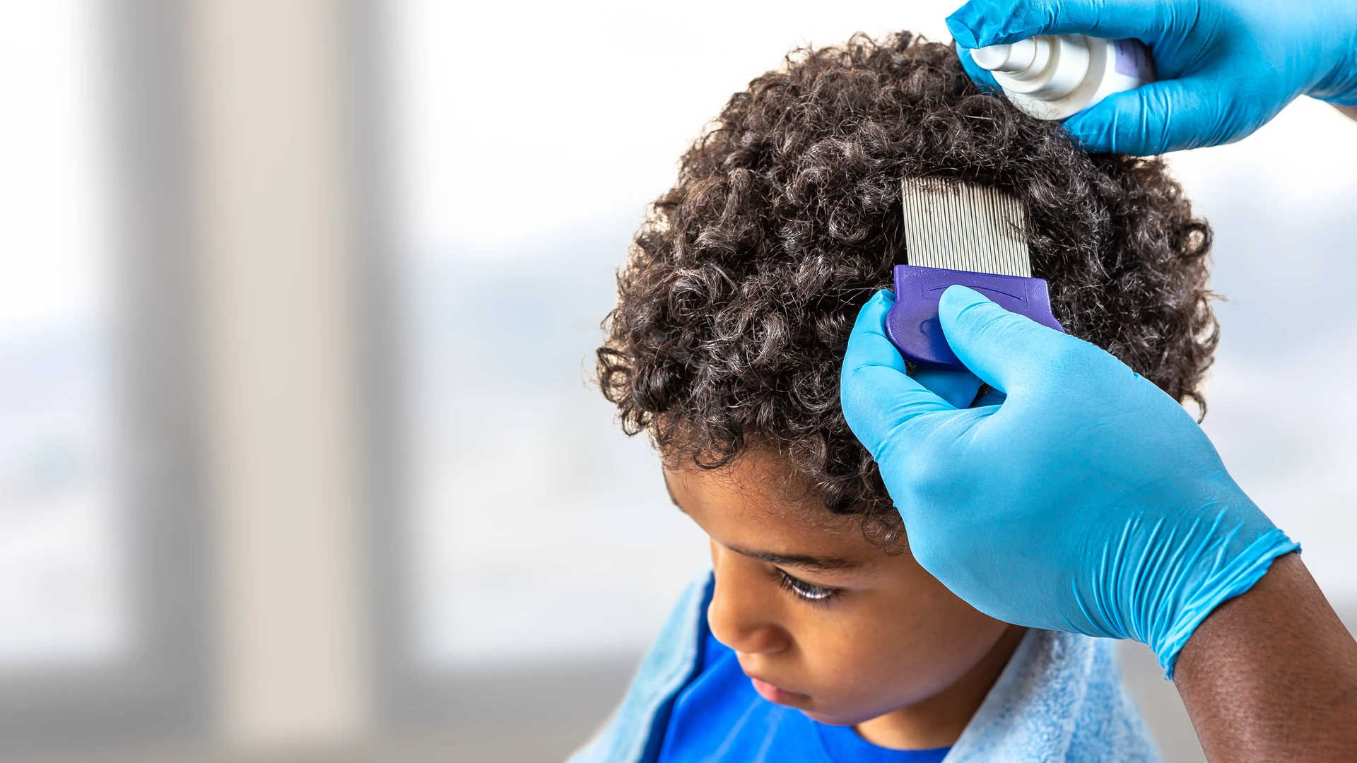Gloved hands comb a boy's curly hair with a metal lice comb while holding a spray bottle
